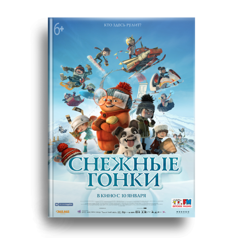 Снежные гонки